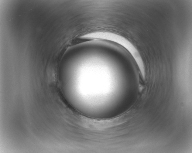 X0000053160039200507251920
