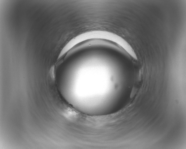 X0000053160041200507251920