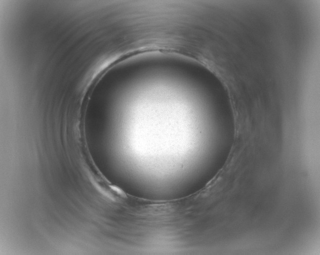 X0000053160050200507251919