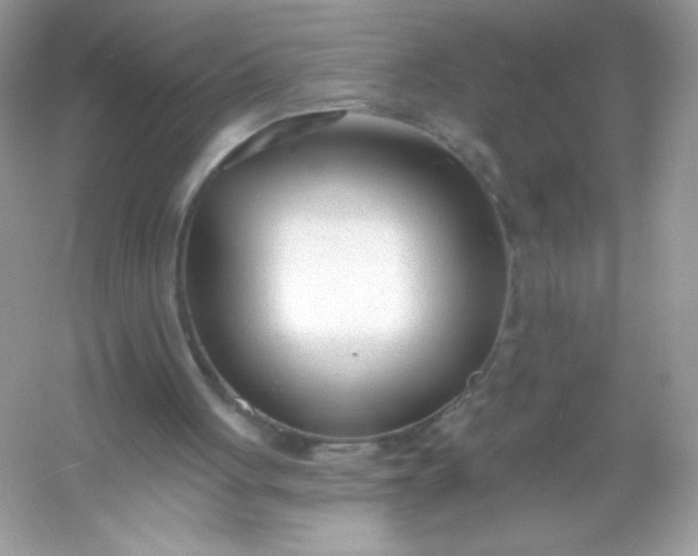 X0000053160051200507251919