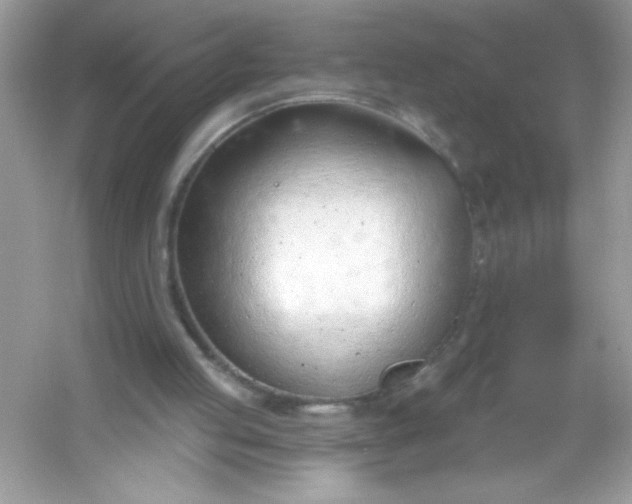 X0000053160053200507251919