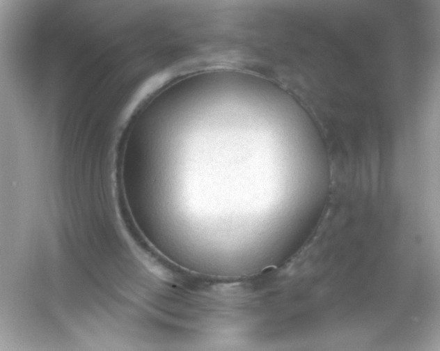 X0000053160054200507251919