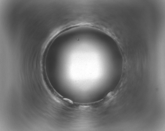 X0000053160055200507251919