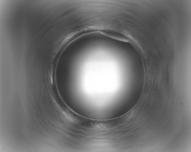 X0000053160062200507251919