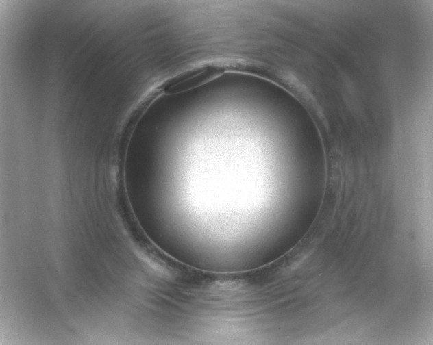 X0000053160063200507251919