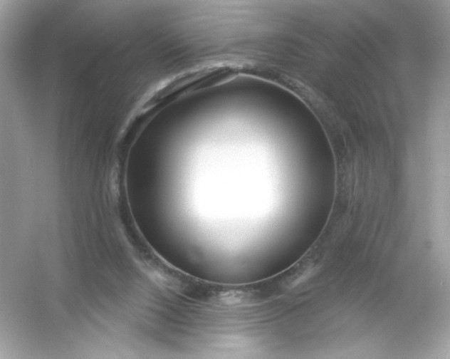 X0000053160064200507251919