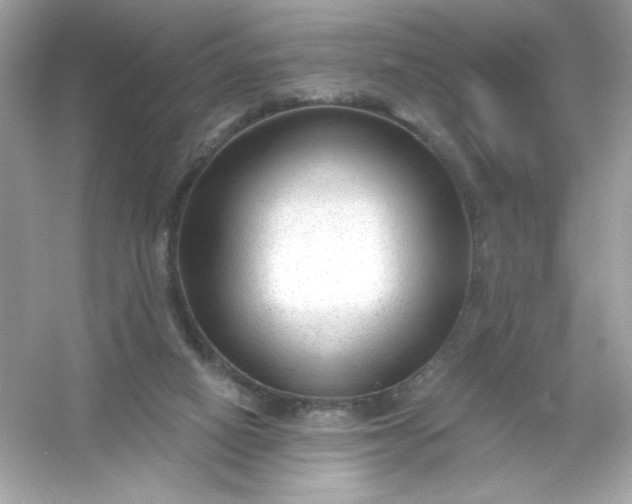 X0000053160066200507251919
