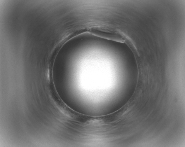 X0000053160067200507251919