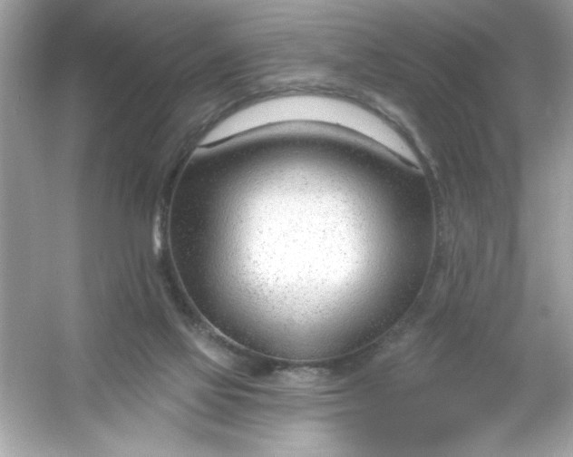 X0000053160069200507251919