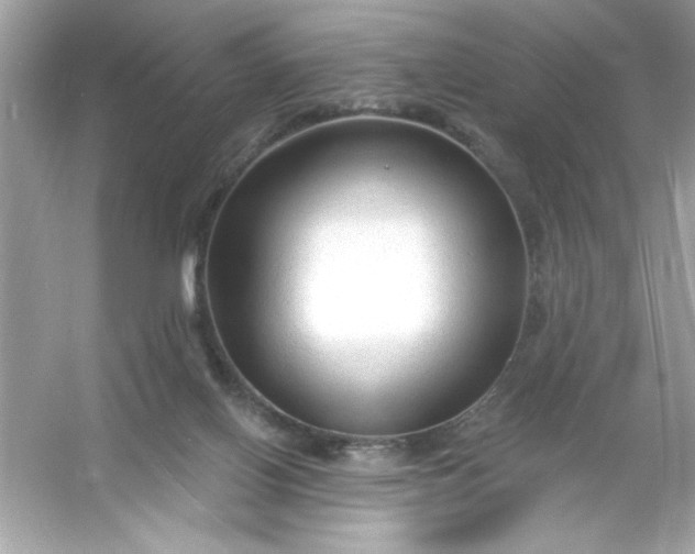 X0000053160070200507251919