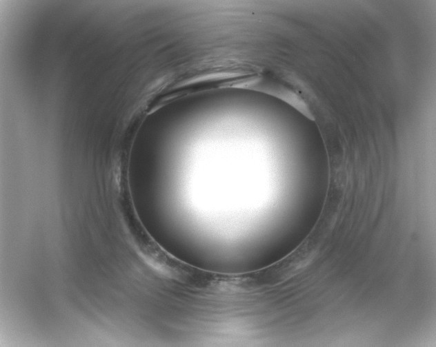 X0000053160072200507251919