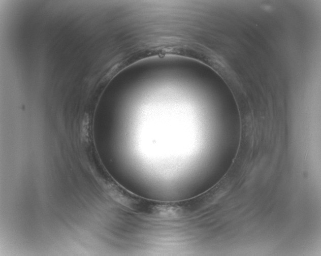X0000053160073200507251919
