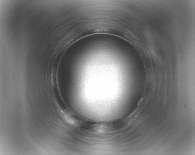 X0000053160074200507251919
