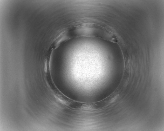 X0000053160076200507251919