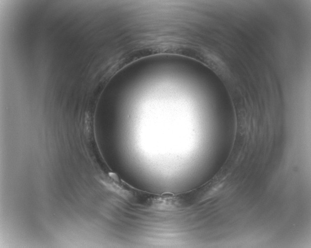 X0000053160077200507251919