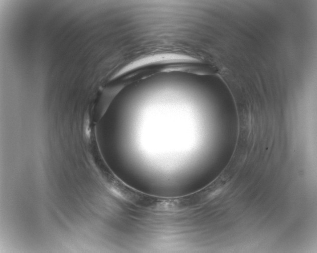 X0000053160080200507251919