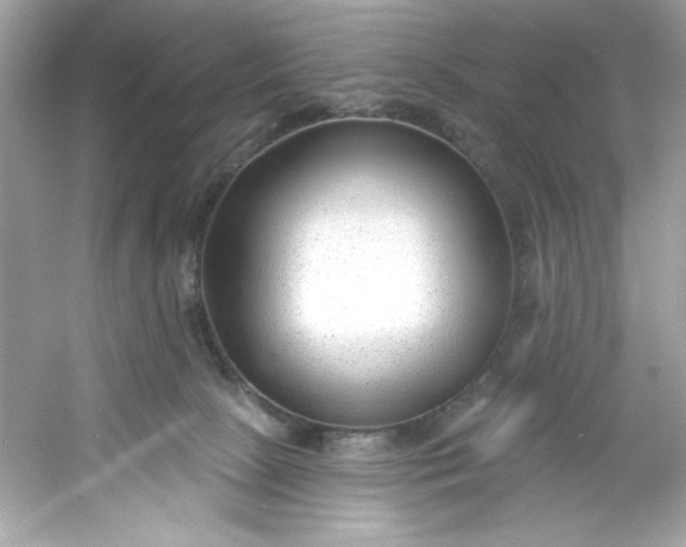 X0000053160081200507251919