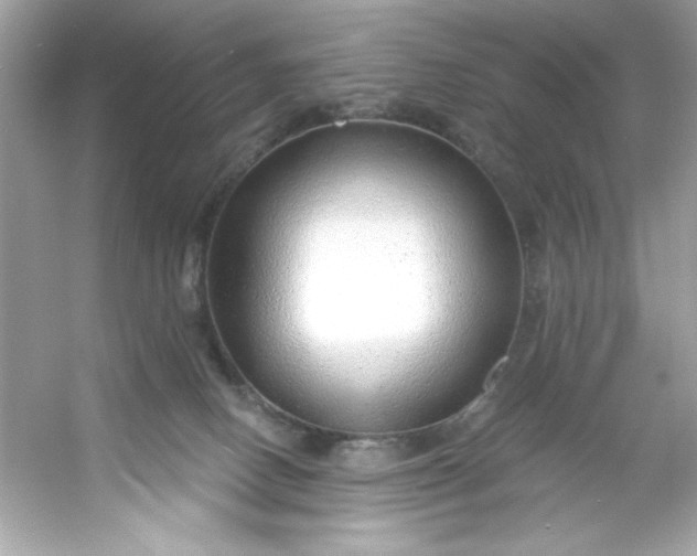 X0000053160082200507251920