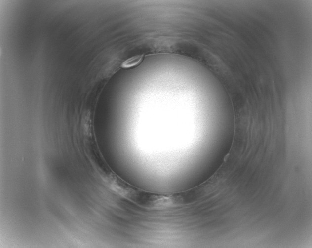 X0000053160083200507251920