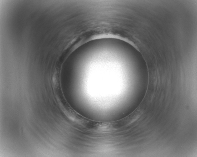 X0000053160088200507251920