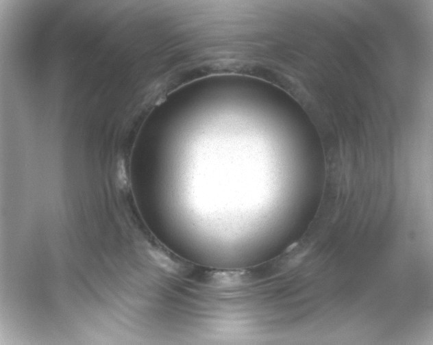 X0000053160089200507251920