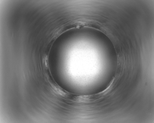 X0000053160094200507251920