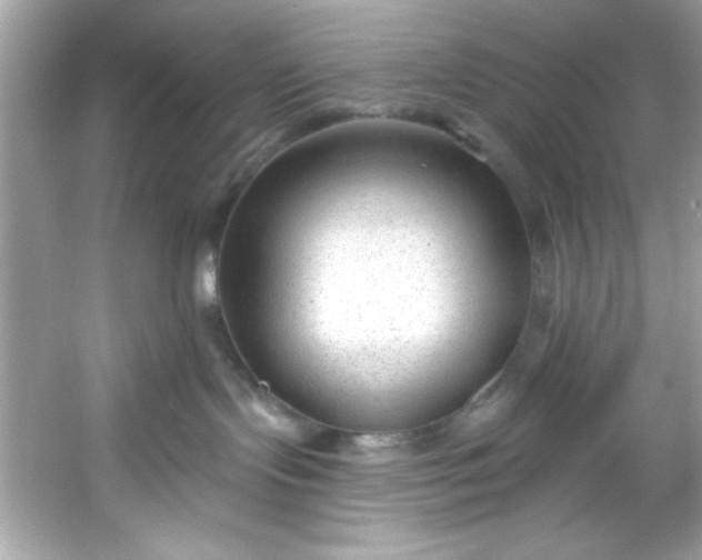 X0000053160095200507251920