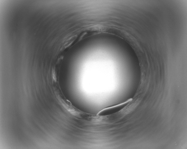 X0000053160096200507251920