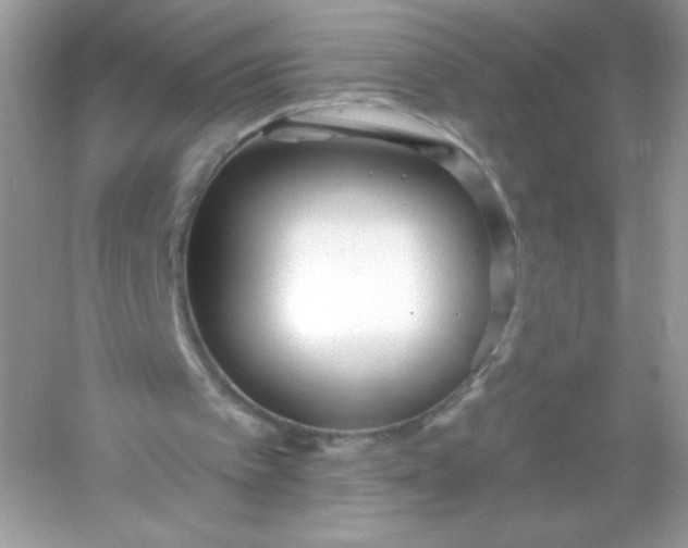 X0000053160097200507251919