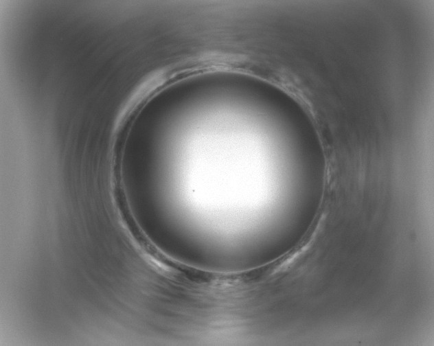 X0000053160101200507251919