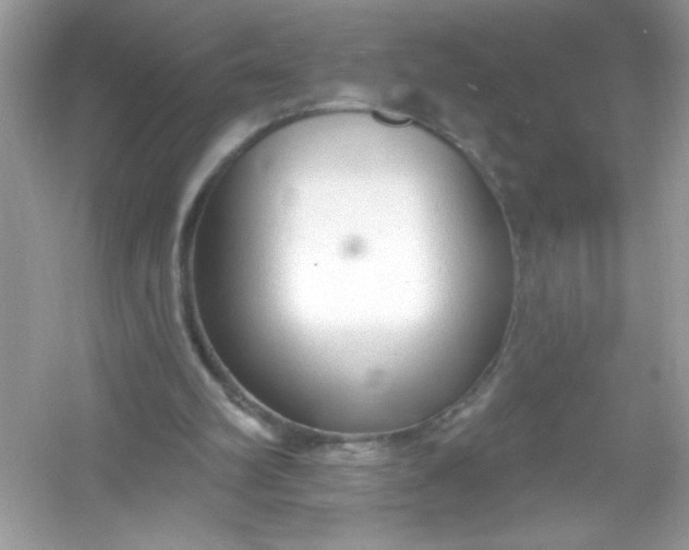 X0000053160102200507251919
