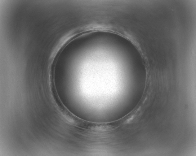 X0000053160103200507251919