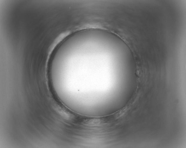 X0000053160104200507251919