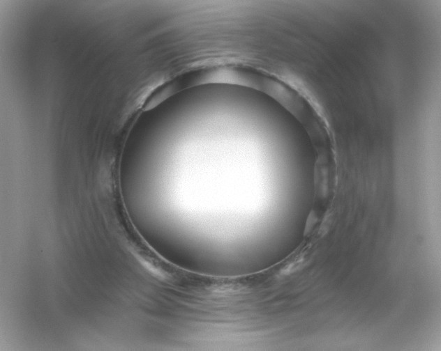 X0000053160105200507251919