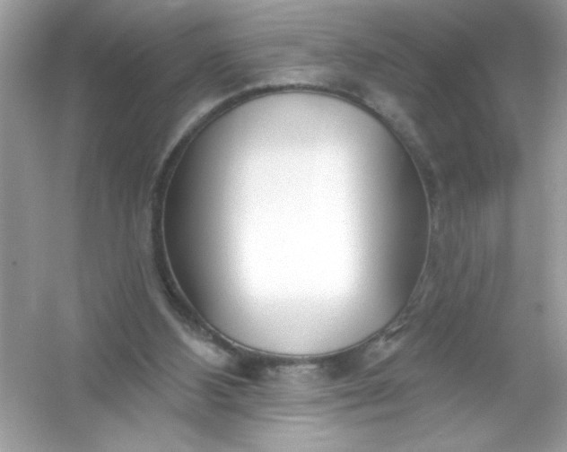 X0000053160108200507251919