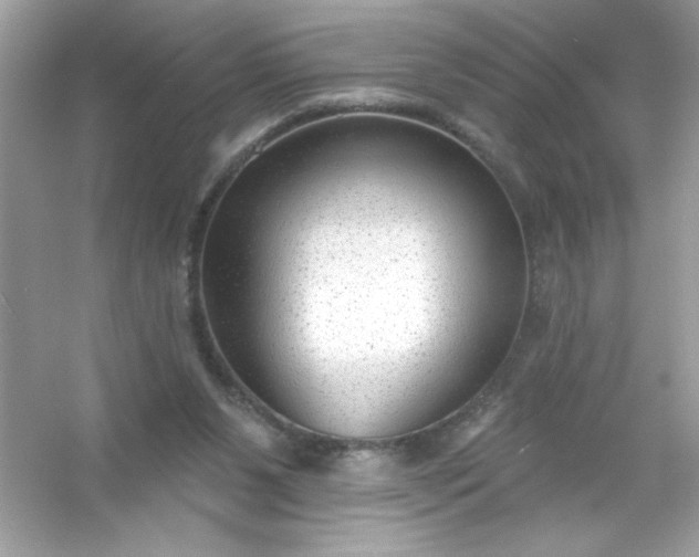 X0000053160111200507251919