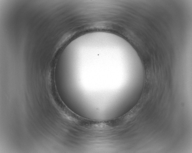 X0000053160112200507251919