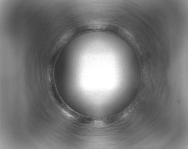 X0000053160114200507251919