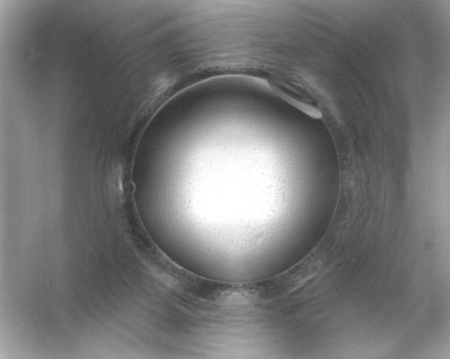 X0000053160115200507251919