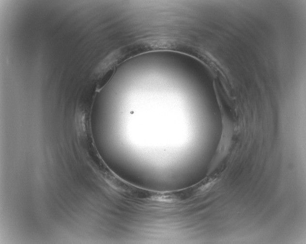 X0000053160117200507251919