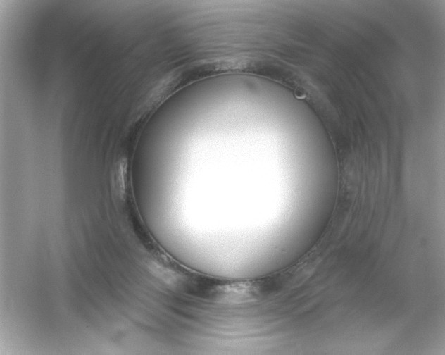 X0000053160118200507251919