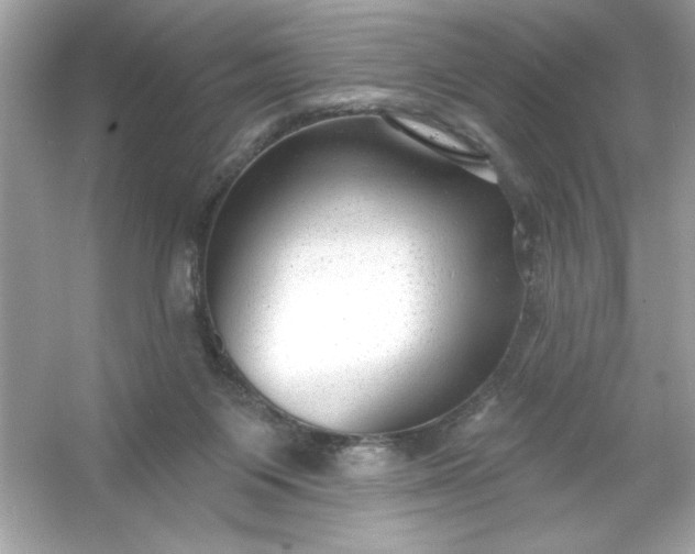 X0000053160119200507251919