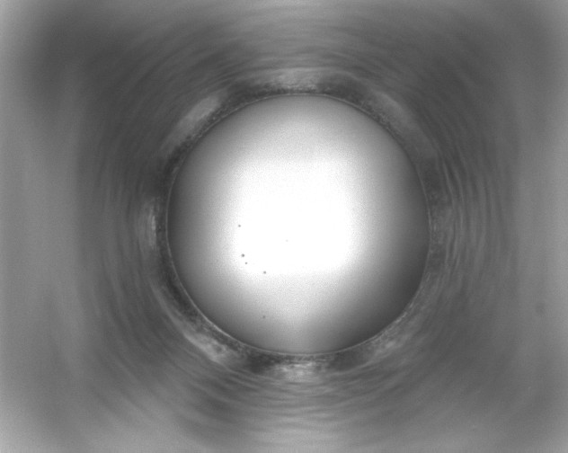 X0000053160120200507251919