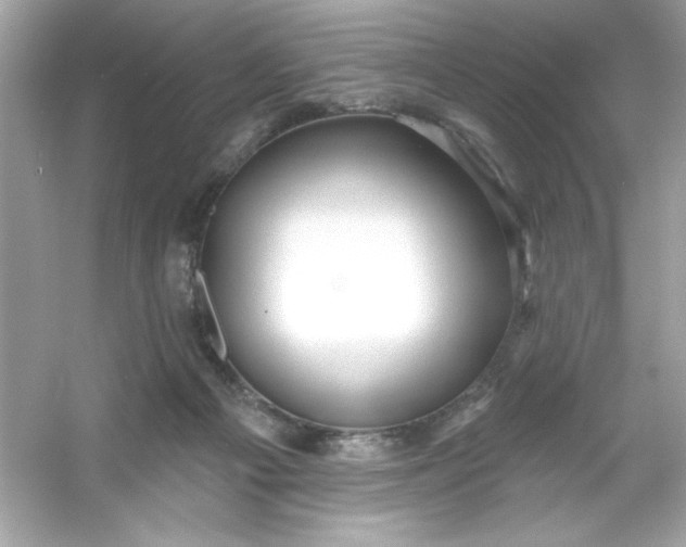 X0000053160121200507251919