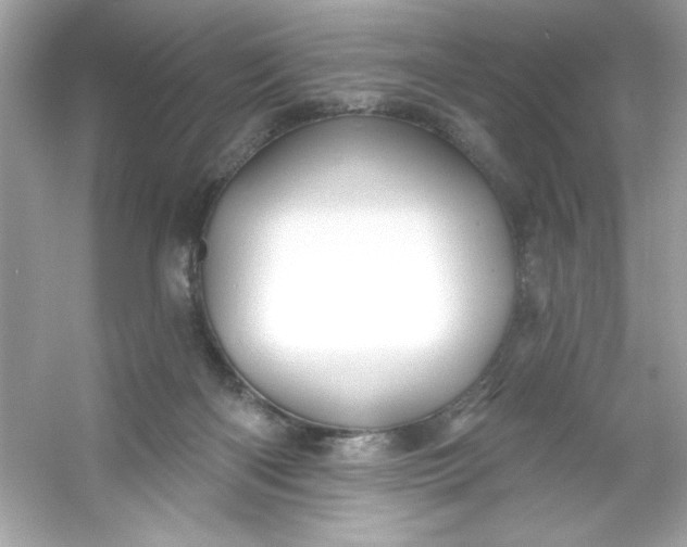 X0000053160122200507251918