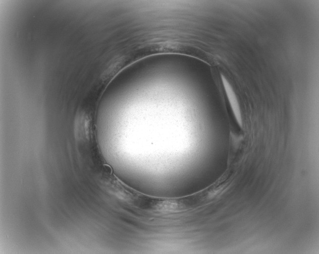 X0000053160123200507251918