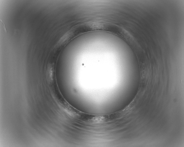 X0000053160124200507251918