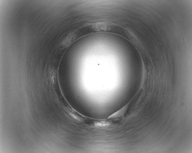 X0000053160125200507251918
