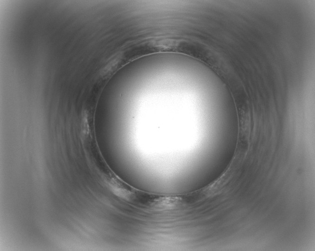 X0000053160128200507251918