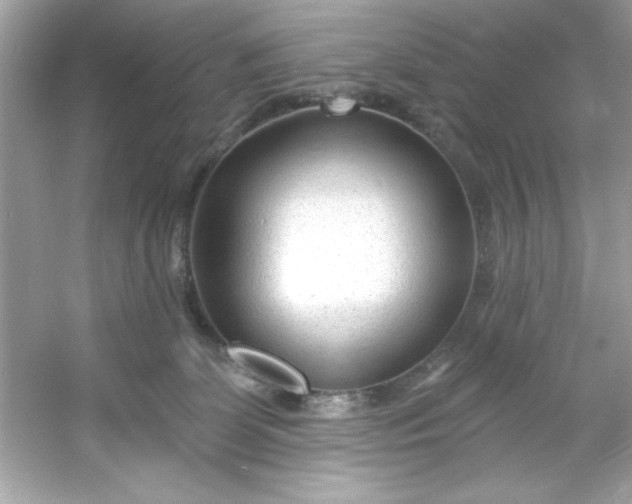 X0000053160131200507251918